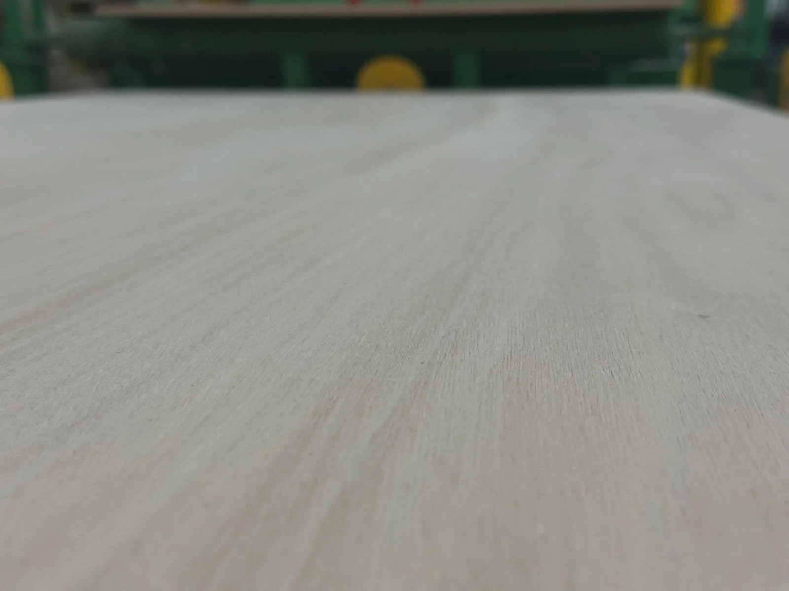 Natural birch veneer surface